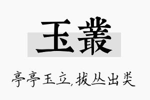 玉丛名字的寓意及含义