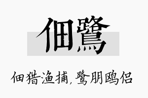 佃鹭名字的寓意及含义