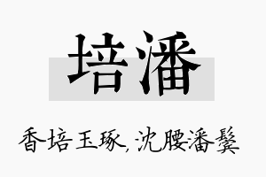 培潘名字的寓意及含义