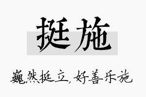 挺施名字的寓意及含义