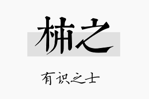 柿之名字的寓意及含义