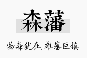 森藩名字的寓意及含义