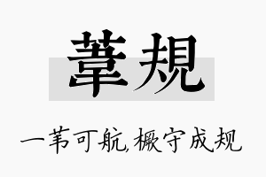 苇规名字的寓意及含义