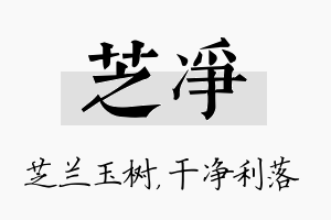 芝净名字的寓意及含义