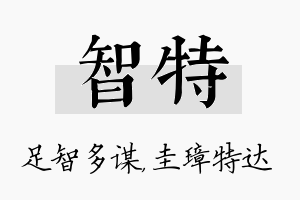 智特名字的寓意及含义