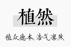 植然名字的寓意及含义