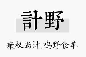 计野名字的寓意及含义