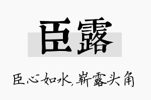 臣露名字的寓意及含义