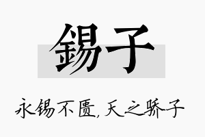 锡子名字的寓意及含义