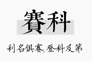 赛科名字的寓意及含义