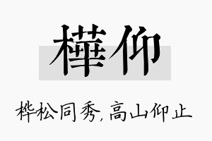 桦仰名字的寓意及含义