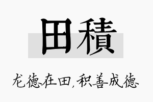 田积名字的寓意及含义