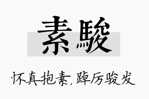 素骏名字的寓意及含义