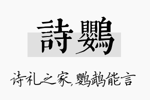 诗鹦名字的寓意及含义