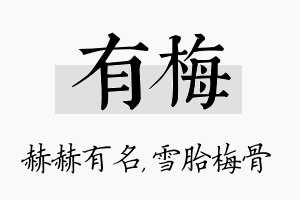 有梅名字的寓意及含义