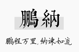 鹏纳名字的寓意及含义