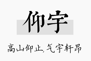 仰宇名字的寓意及含义