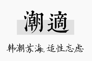 潮适名字的寓意及含义