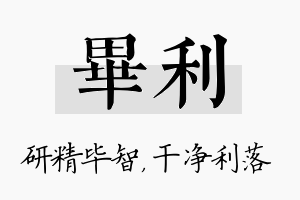 毕利名字的寓意及含义