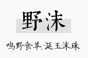 野沫名字的寓意及含义