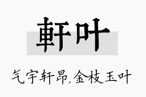 轩叶名字的寓意及含义