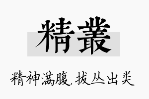 精丛名字的寓意及含义