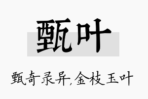 甄叶名字的寓意及含义