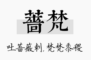 蔷梵名字的寓意及含义