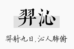 羿沁名字的寓意及含义