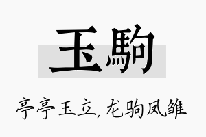 玉驹名字的寓意及含义