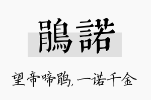 鹃诺名字的寓意及含义