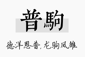 普驹名字的寓意及含义