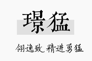 璟猛名字的寓意及含义