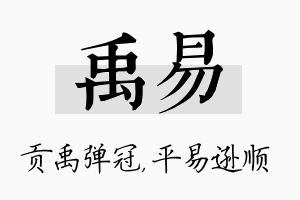 禹易名字的寓意及含义