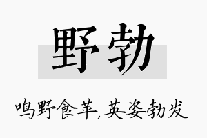 野勃名字的寓意及含义