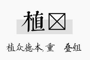 植珪名字的寓意及含义