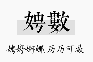 娉数名字的寓意及含义