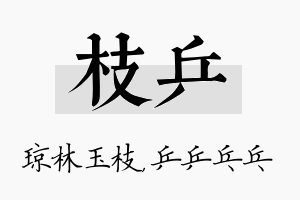 枝乒名字的寓意及含义