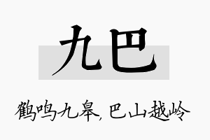 九巴名字的寓意及含义