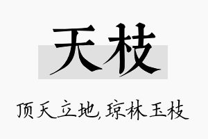 天枝名字的寓意及含义