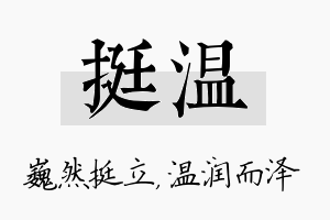 挺温名字的寓意及含义