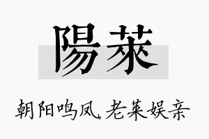 阳莱名字的寓意及含义