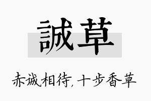 诚草名字的寓意及含义