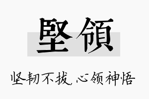 坚领名字的寓意及含义