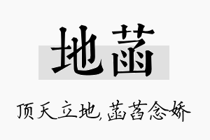 地菡名字的寓意及含义