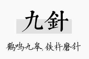 九针名字的寓意及含义