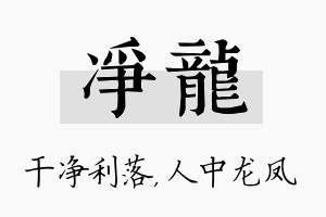 净龙名字的寓意及含义