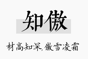 知傲名字的寓意及含义