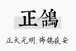 正鸽名字的寓意及含义