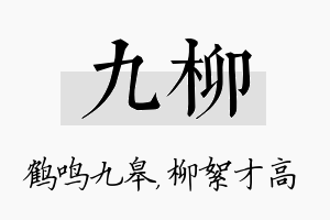 九柳名字的寓意及含义